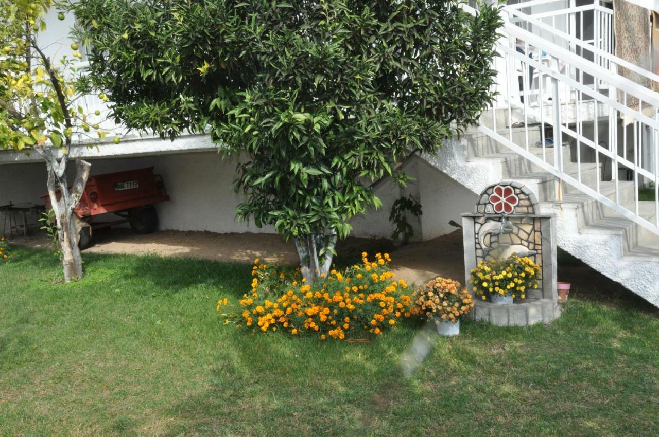 Despina Apartment 케라모티 외부 사진